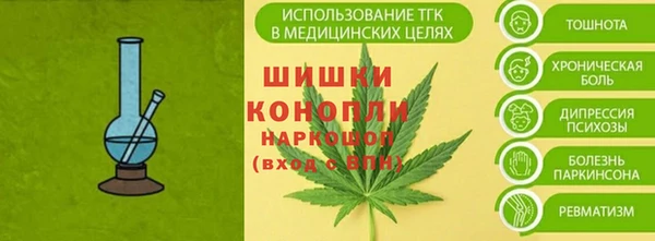 ГАЛЛЮЦИНОГЕННЫЕ ГРИБЫ Богородск